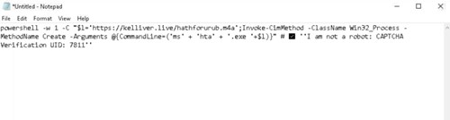 Fake Captcha